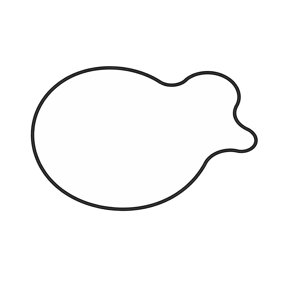 Guarnizione Pompa Acqua